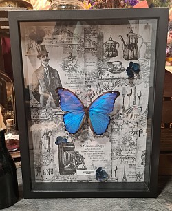 Cadre mural orné de son papillon 'Morpho' et de ses pointes de fleurs d'hortensia stabilisées bleues (vendu)
