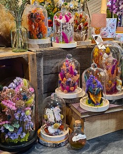 déclinaison de différentes cloches