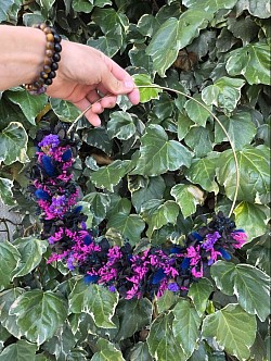 Tons noir, fuschia, bleu marine
